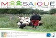 N°35 M SAIQUE - Apei Ouest 44€¦ · moutons de la ferme pédagogique de Ker Madeleine, avec l’aide du chien Gaïa. Retrouvez toutes les informations et les actualités de l’Apei
