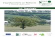 L’agroforesterie en Wallonie - CDAF · Typologie A1 2. Éléments agroforestiers à la ferme ! Mais aujourd’hui, faute de temps, de main d’œuvre et de rentabilité économique,
