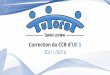 Correction du CCB d’UE 1 - tutoweb.net · C. Faux : Hybridation sp3d D. Vrai. E. Vrai. © Tutorat Santé Lorraine 2016/2017 Q10 : B et E sont vrais. A propos de la thermodynamique