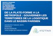 DE LA PLATE-FORME A LA METROPOLE : GOUVERNER …afitl.ish-lyon.cnrs.fr/tl_files/documents/vie-association/journee... · Raimbault Nicolas – 28/06/2011 3 Introduction : Qu’est-ce