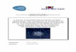 L’oursin comestible Paracentrotus lividus optimisation des ...halieutique.agrocampus-ouest.fr/memoires/200912.pdf · GLOSSAIRE EMF = eau de mer filtrée GPS = Global Positioning
