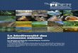 la Biodiversité Des Poissons Suisses - Fiber: Aktuelles · La biodiversité des poissons suisses Le bureau suisse de conseil pour la pêche vous informe sur … … la diversité