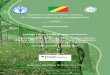 Rapport d'activités annuel CONGO 2010 06-04-2011 · Après le lancement du projet en mars 2010 et après l’adoption du plan de travail ... Fin septembre et début octobre 2010