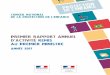 conseil national de la protection de l’enfancesolidarites-sante.gouv.fr/IMG/pdf/cnpe_rapport_annuel_2017.pdf · Le conseil national de la protection de l’enfance (CNPE) a été