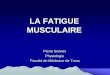 LA FATIGUE MUSCULAIRE - L3/Locomoteur pas sur ENT/Physio - Fatigue...  1. DEFINITION La fatigue incapacit©