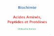 Biochimie Acides Aminés, Peptides et Protéinesmedecinedentaire-promo2014-2015-alger.weebly.com/uploads/4/3/0/9/...Classification des acides aminés selon la polarité de la chaine