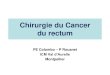 Chirurgie du Cancer du rectum - download2.cerimes.frdownload2.cerimes.fr/canalu/documents/cutms/sfjro.canc.rologie... · rectum et limité circonférentiellement par le fascia recti