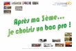 Document CIO Saint Germain en Laye - M.A. Hutin - Mai 2017 ...cache.media.education.gouv.fr/file/SaintGermain/07/9/bac_pro_mai... · Durant ce parcours, vous avez la possibilité