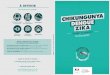 Des moyens pour se protéger CHIKUNGUNYA DENGUE ZIKAinpes.santepubliquefrance.fr/CFESBases/catalogue/pdf/1043.pdf · dans une région où des cas de ces maladies ont été signalés,