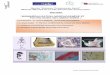 “BIOMINÉRALISATION, MORPHOGENÈSE ET …ufr-paris-garanciere.fr/sites/default/files/files/AL/Brochure... · 4 Programme UE-1 Le chondrocyte: avancées récentes dans la biologie
