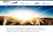 Etude d’Opportunité du Solaire Photovoltaïque dans les …©_PV_AGRI-IAA... · Solaire Tunisien par rapport au secteur agricole_ 11 IV. L’électricité dans le secteur agroalimentaire___