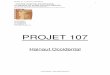 PROJET 107  .projet 107 hainaut occidental 1