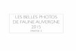 LES BELLES PHOTOS DE FAUNE AUVERGNE 2015 - …files.biolovision.net/ · Musique : Concerto pour guitare, cordes et timbales en La majeur, op 30 , Mauro Giuliani, Narciso Yepes. A
