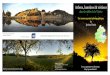 Arbres, lumières & rivièresarborethic.com/.../2016/10/dossier_arbres_lumieres_rivieres_150.pdf · de la ville de Genève, projection géante « Arbres vénérables de la planète