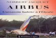 AIRBUS L'Assassin habite à l'Elysée - jacno.comjacno.com/livr.pdf · l'Airbus A 320 à Habsheim, le temps des interrogations : Com-ment une merveille de technologie a-t-elle pu