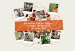 Restauration collective biologique : catalogue des … Sommaire Formations tous publics adultes • Appréhender et comprendre les enjeux de l’agriculture biologique sur les territoires