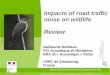Impacts of road traffic noise on wildlife Review .Impacts of road traffic noise on wildlife Review