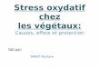 Stress oxydatif chez les v©g© .Stress « Oxydant ». I. Origine du Stress oxydatif â€¢ Le stress