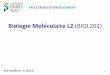 Biologie Moléculaire L2 (BIOL201)rna.igmors.u-psud.fr/gautheret/cours/L2-ADN1.pdf · 3 Biologie Moléculaire L2 D. Gautheret – ADN et génomes (2 cours) – Transcription (4 cours)