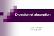 Digestion et absorption - physiologie.envt.frphysiologie.envt.fr/wp-content/.../2007/11/...proteines_et_lipides.pdf · Introduction Ingestion de grosses molécules non absorbables