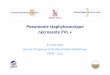 Pneumonie staphylococcique n©crosante PVL .Panton-Valentine Leucocidin(PVL) Toxine rare : < 5% des