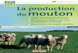 La production du moutonexcerpts.numilog.com/books/9782855572154.pdf · Réalisation pratique..... 294 Résultats ... 317 Liste des photos 