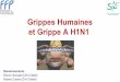Grippes Humaines et Grippe A H1N1 - cyrilgachen.free.frcyrilgachen.free.fr/ifsi/semestre3/ue 2.5/Grippes IFSI.pdf · •Chacun d’entre nous est différent devant ... 4 types de