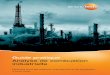 Guide pratique Analyse de combustion industrielle · 4 Applications de l’analyse de gaz industriels 79 ... chimiques et agricoles (CFC, méthane ... et résidus de combustion (cendres