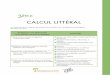 CALCUL LITTÉRAL - La finance pour tous · Mener à bien un calcul instrumenté (si calculatrice) Contrôler un résultat à l’aide de la calculatrice ou d’un tableur