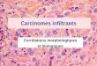 Corr©lations morphologiques et biologiques - epat Inf.pdf  (metachrone ou synchrone ) ... Atteinte