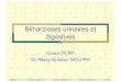 Bilharzioses urinaires et digestives · Elimination des oeufs dans les selles HI: Bulinus Réservoir animal Répartition géographique : Afrique noire en foyers autour du golfe de