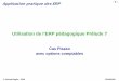 Application pratique des ERP - echange-cipe.comechange-cipe.com/Francais/Exercices/PicasoCompta/Exercice ERP... · Application pratique des ERP -5-© Gérard Baglin - 2009 02/04/2009