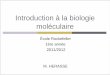 Introduction à la biologie moléculaire - phpMyAdmin 2.6.1ecole-rockefeller.com/campus-numerique/inf1/cours/ue21/biologie... · II – Le flux de l’information génétique 