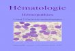 Hématologie - BTS ABMmuller.ch.free.fr/bts-abm/images/documents/hemato2tp/livret2.pdf · Chapitre 7 – Aplasies médullaires ... Elles peuvent être d'origine génétique ou, plus