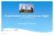 Exploitation de pétrole au Niger - Repenser le Niger … · ∗Politique énergétique actuelle du Niger ∗Exploitation pétrolière au Niger : dates et chiffres ∗Redéfinir la