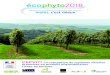 moins, c'est mieux - Institut Francais de la Vigne et du Vin · Fiches techniques : Solutions agronomiques alternatives aux produits phytosanitaires 4 Guide de co-conception de systèmes