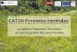 CATZH Pyrénées centrales - valleesdesgaves.com€¦ · La Cellule d’Assistance Technique, ... sortie et journée techniques sur ZH ... de restauration et de gestion de la zone