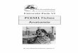 PCEM1 Fiches Anatomie - Serveur de Pages perso.ens-lyon.fr/viet.duong/documents/Anatomie_PCEM.pdf 