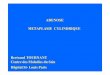 ADENOSE METAPLASIE CYLINDRIQUE - Sénopôlecentre-maladies-sein-saint-louis.org/formations/presentations/M2... · PDF filec Lésions infra- cliniques de découverte mammo- échographique,