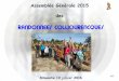 BILAN D’ACTIVITE 2006/2007 - randoscollioure.free.frrandoscollioure.free.fr/index_htm_files/ag2015.pdf · Un séjour au pays Basque avec Pierre Lanuque du 12 au 19 septembre 2015