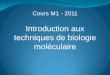 Introduction aux techniques de biologie - Accueil .Enzyme Transcriptase inverse isol©e de r©trovirus
