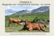 Chapitre 1 : Regards sur l’organisme animal : la vachebcpst-svt-parc.fr/wordpress/wp-content/uploads/2013/09/Vache... · RIEUTORD M. « Physiologie animale » Tome 2 « Les grandes