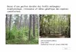 Bases d'une gestion durable des forêts mélangées ... · Elaborer des outils de description et de modélisation du microclimat ... • capacité à intercepter la lumière • capacité