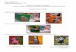albums creations multiples - cndp.fr · Création d’un livre boîte sur les couleurs (PS) ... (petite section) Référents culturels Œuvres littéraires utilisées : ... Points