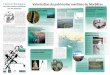 L’Atlas Archéologique Valorisation du patrimoine … · core prisonnières de la plage, ces épaves se dévoilent périodiquement au gré des ma- ... nu et souvent difficilement