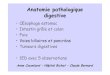 Anatomie pathologique digestive - Cours L3 Bichat …coursl3bichat2012-2013.weebly.com/uploads/9/6/0/7/9607940/l3... · Cholécystite aigue alithiasique • 5% des cholécystites