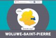 WoluWe-Saint-Pierre - ibsa. 3. PETITE ENFANCE 14 8. FINANCES COMMUNALES 30 4. ENSEIGNEMENT 16 9