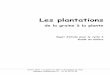 Plantations cycle 3 - CENTRE PILOTE LA MAIN A LA …lamap-nogent.rep.ac-amiens.fr/wp-content/uploads/Les-plantations... · Centre pilote « La main à la pâte » de Nogent sur Oise