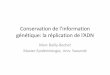 Conservation de l’information génétique: la réplication de ...pbil.univ-lyon1.fr/members/mbailly/Intro_Bio/4b_replication.pdf · Conservation de l’information génétique: