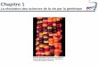 Chapitre 1 - Université de Moncton 1.pdf · Les propriétés qui caractérisent l’information génétique 1) La diversité de structure Bien qu’il n’existe seulement que quatre